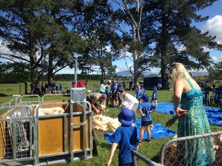 Loburn School Pet Day