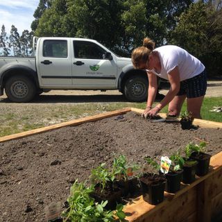 Gardening North Canterbury